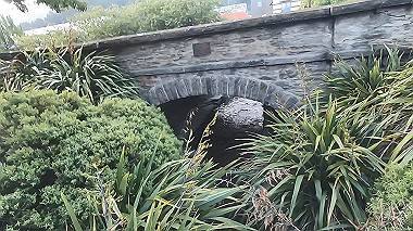 gx010151.mp4_snapshot_00.49_thumb.jpg