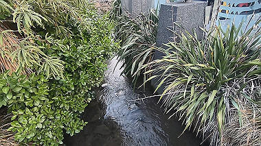 gx010151.mp4_snapshot_00.57_thumb.jpg
