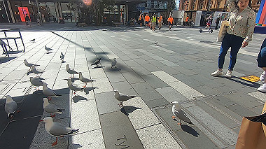 gx010173.mp4_snapshot_00.11_thumb.jpg