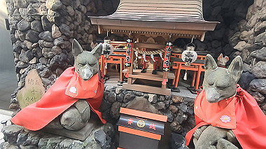 gx010194.mp4_snapshot_02.18_thumb.jpg