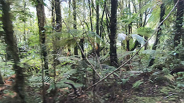 gx019394.mp4_snapshot_00.30_thumb.jpg