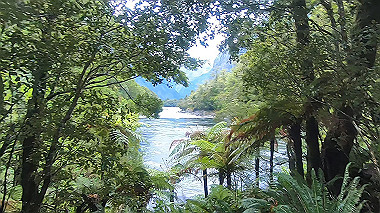 gx019395.mp4_snapshot_00.02_thumb.jpg