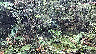 gx019396.mp4_snapshot_00.11_thumb.jpg