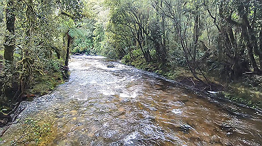 gx019398.mp4_snapshot_00.55_thumb.jpg