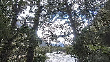 gx019399.mp4_snapshot_00.03_thumb.jpg