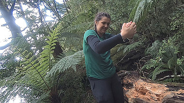 gx019399.mp4_snapshot_02.11_thumb.jpg