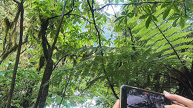 gx019402.mp4_snapshot_00.23_thumb.jpg