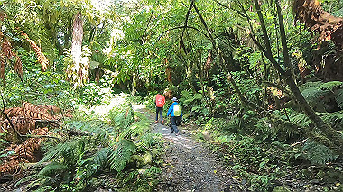 gx019402.mp4_snapshot_02.05_thumb.jpg