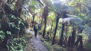 gx019417.mp4_snapshot_03.27_thumb.jpg
