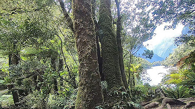 gx019420.mp4_snapshot_00.05_thumb.jpg