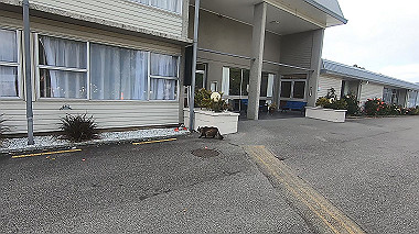 gx019449.mp4_snapshot_00.03_thumb.jpg