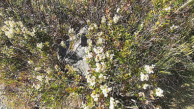 gx019496.mp4_snapshot_00.38_thumb.jpg