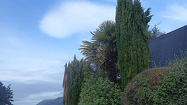 pb270436_thumb.jpg