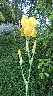 pb270441_thumb.jpg