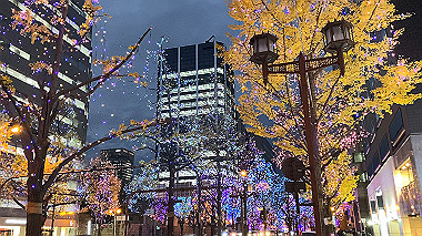 2023-12-14_17-08-46_000.mov_snapshot_00.00_thumb.jpg