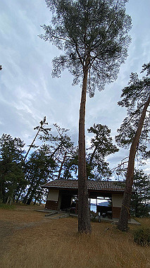 2023-12-20_10-02-07_097_thumb.jpg