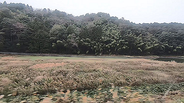gx010230.mp4_snapshot_00.25_thumb.jpg