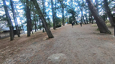 gx010247.mp4_snapshot_01.33_thumb.jpg