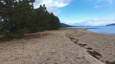 gx010249.mp4_snapshot_00.50_thumb.jpg