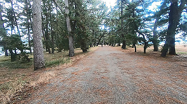 gx010249.mp4_snapshot_02.04_thumb.jpg