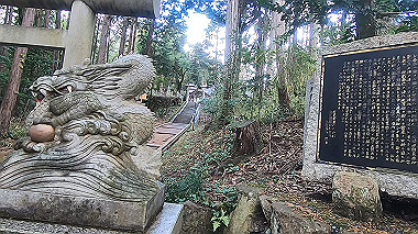 gx010259.mp4_snapshot_00.21_thumb.jpg