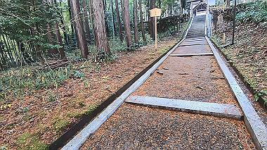 gx010259.mp4_snapshot_01.12_thumb.jpg
