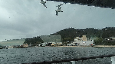 gx010263.mp4_snapshot_00.14_thumb.jpg
