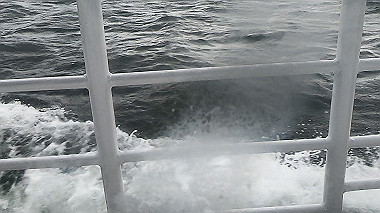 gx010265.mp4_snapshot_00.56_thumb.jpg