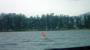 pc200561_thumb.jpg