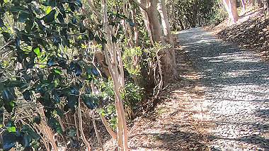 gx010287.mp4_snapshot_00.08_thumb.jpg