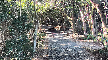 gx010287.mp4_snapshot_01.02_thumb.jpg