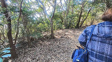 gx010290.mp4_snapshot_00.01_thumb.jpg