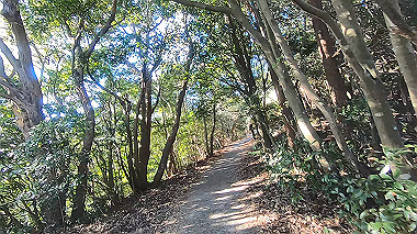 gx010290.mp4_snapshot_00.07_thumb.jpg