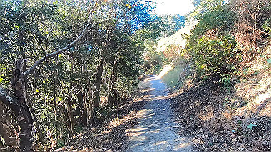 gx010290.mp4_snapshot_00.31_thumb.jpg