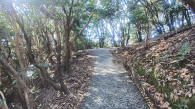 gx010291.mp4_snapshot_00.02_thumb.jpg