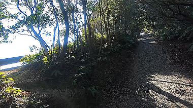 gx010291.mp4_snapshot_00.50_thumb.jpg