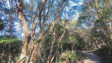 gx010292.mp4_snapshot_00.33_thumb.jpg