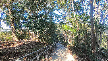 gx010298.mp4_snapshot_00.04_thumb.jpg