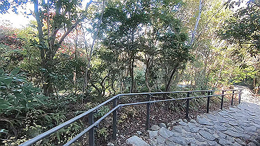 gx010298.mp4_snapshot_00.30_thumb.jpg