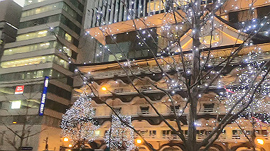 gx010303.mp4_snapshot_00.55_thumb.jpg