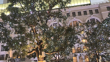 gx010304.mp4_snapshot_00.08_thumb.jpg