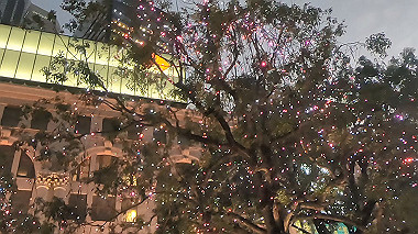 gx010304.mp4_snapshot_00.19_thumb.jpg