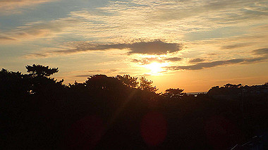 pc280624_thumb.jpg