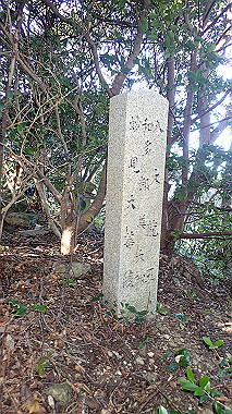 pc280685_thumb.jpg