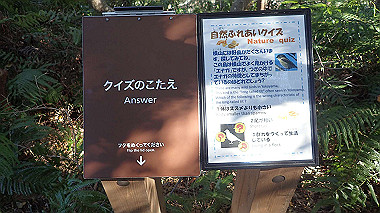 pc280695_thumb.jpg