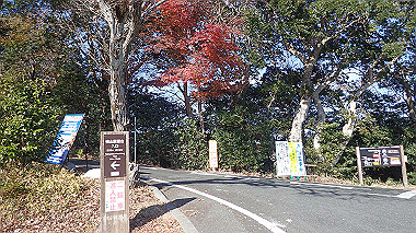 pc280700_thumb.jpg