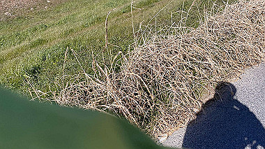 2024-01-14_11-56-30_682_thumb.jpg