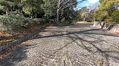 gx010306_x264.mp4_snapshot_00.00_thumb.jpg