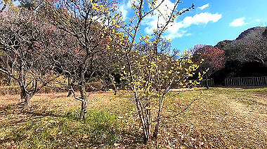 gx010307_x264.mp4_snapshot_00.08_thumb.jpg