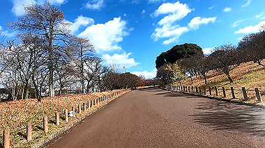 gx010308_x264.mp4_snapshot_00.12_thumb.jpg